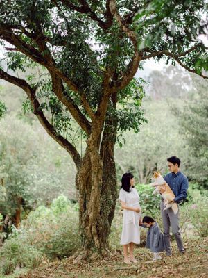 Asian family with child and dog standing beneath large tree in forest.