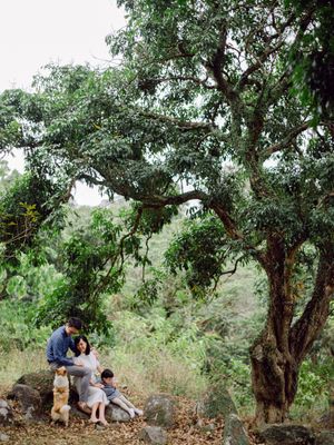 Family with child and dog resting on rocks beneath sprawling trees outdoors.