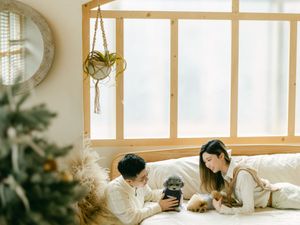 Young couple lying on a cozy white bed with their small dogs near a Christmas tree.