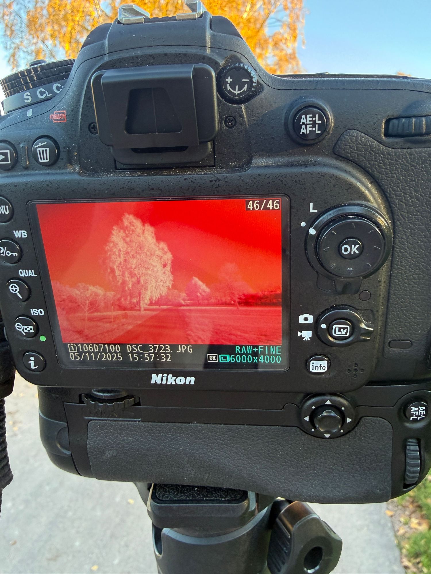 Nikon DSLR camera LCD screen displaying infrared red-toned landscape photo.