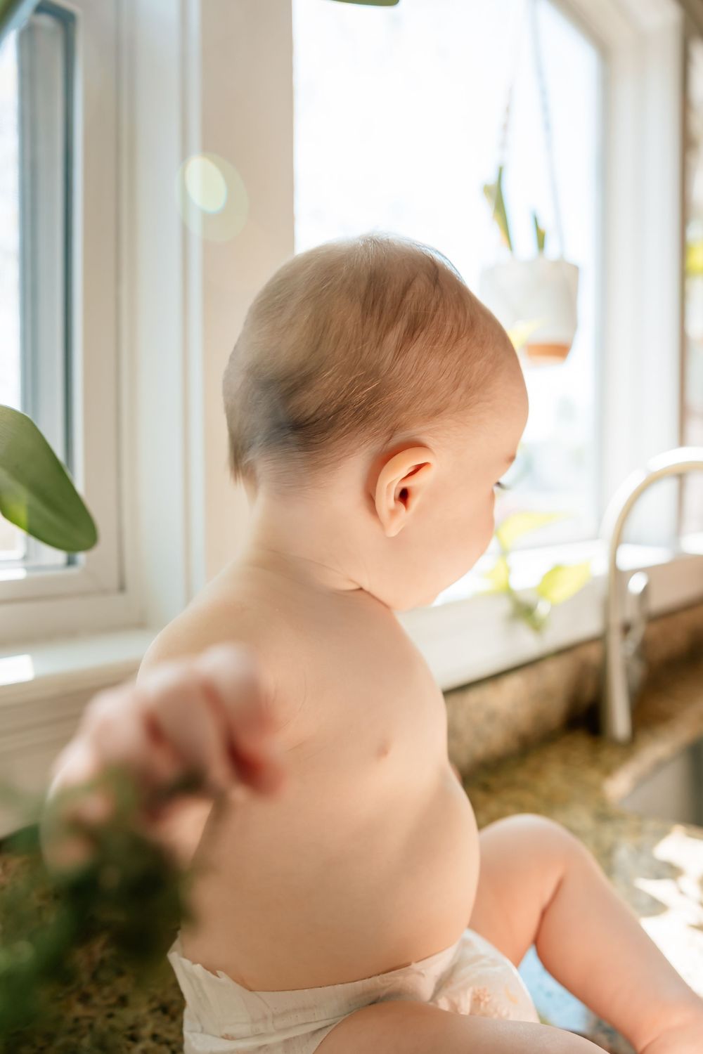 A baby in a diaper sits on a kitchen counter near a sunny window, reaching toward a green plant.