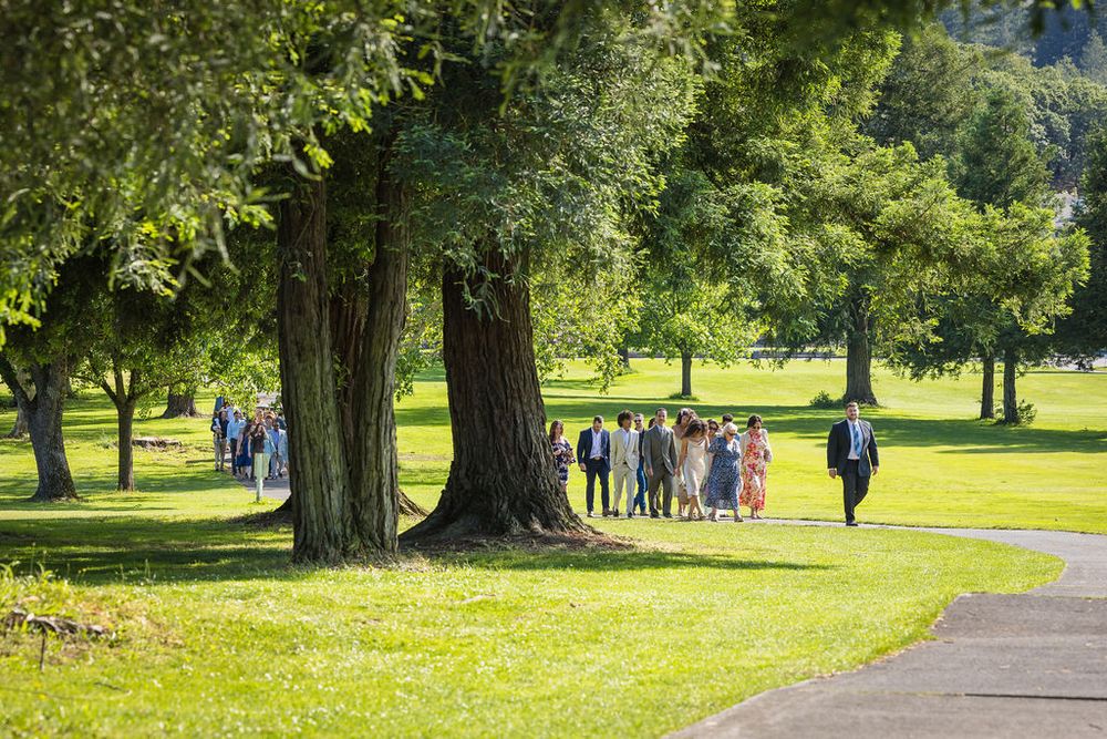 Wedding guests walking through sunny green park with large trees on a beautiful summer day.