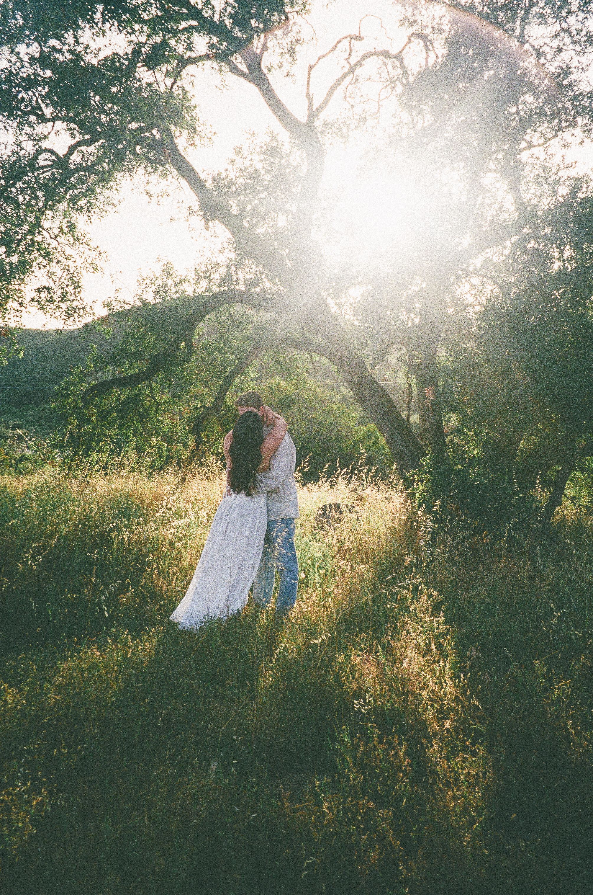 Couple embracing in sunlit meadow with trees, golden hour light streaming through branches, romantic outdoor photography.