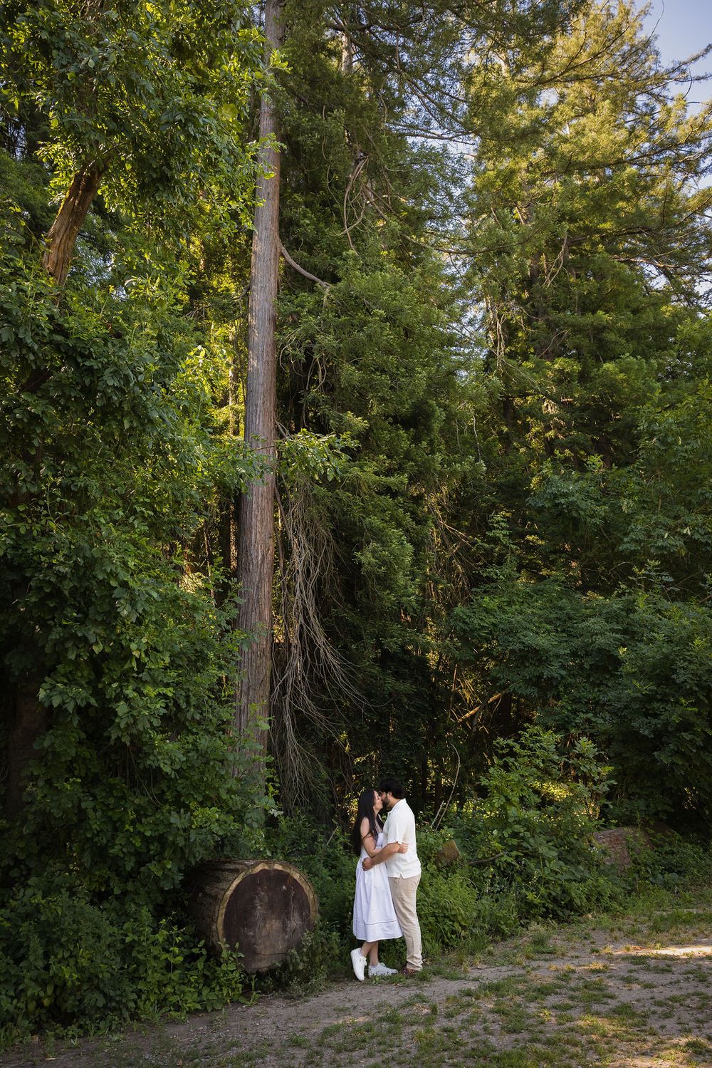Couple sharing a romantic embrace near a tall tree in a lush green forest setting.