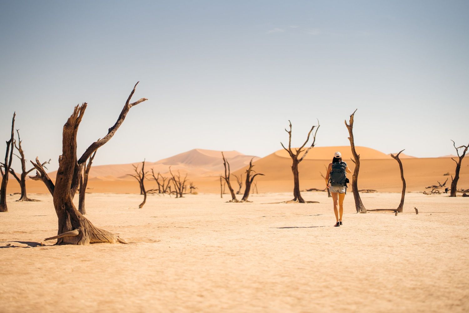 femme qui marche au milieu des accacias noirs sur un lac de sel asséché à deadvlei