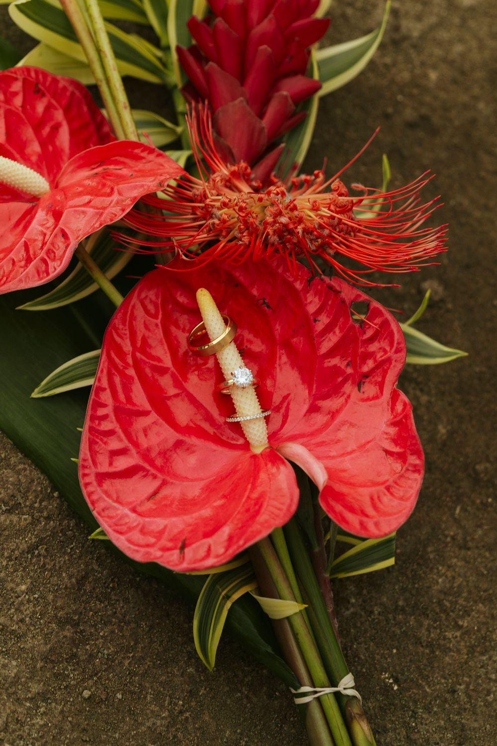 Gold wedding rings rest on a red anthurium flower in a tropical bridal bouquet with ginger blooms and green leaves.