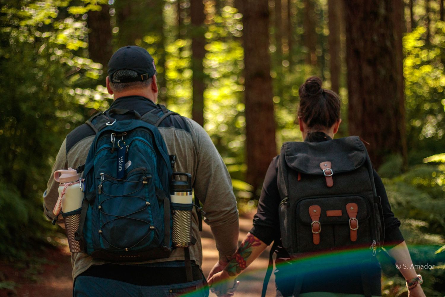 Two hikers with backpacks walk through a lush green forest on a scenic trail.