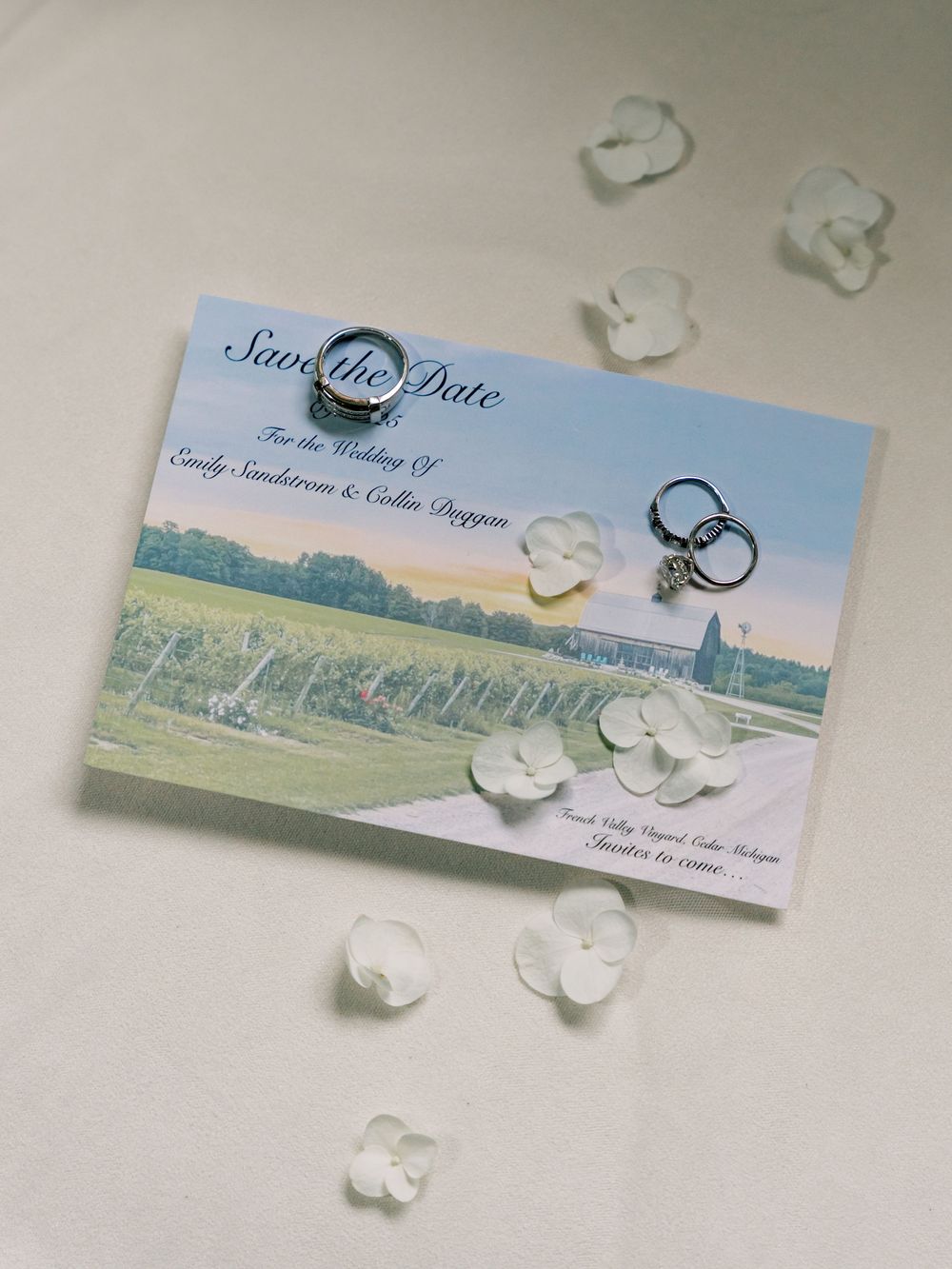 Save the date cards featuring landscape scenery with scattered white flower petals.