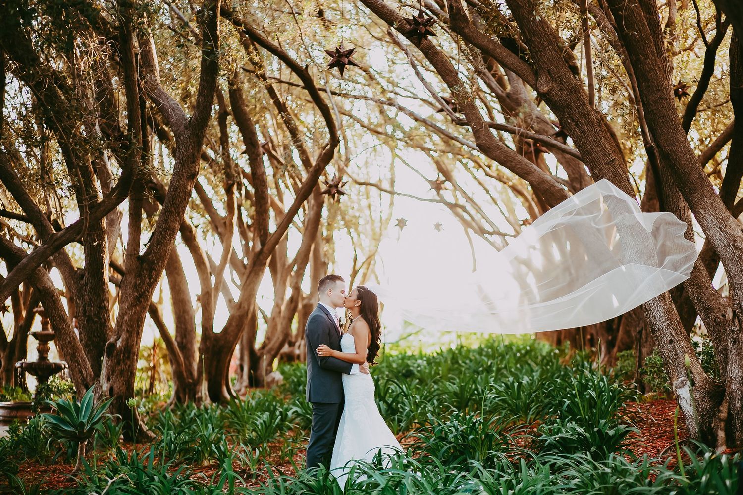 Wedding couple poses beneath arching trees as bride's veil flows dramatically in the wind.