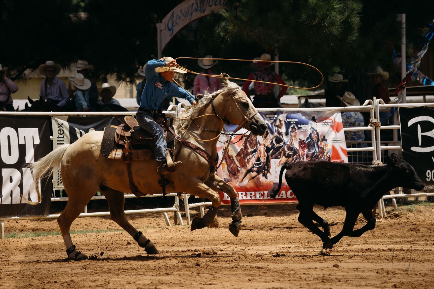 A rodeo rider on horseback chases after a calf during a calf roping competition at a dusty arena.