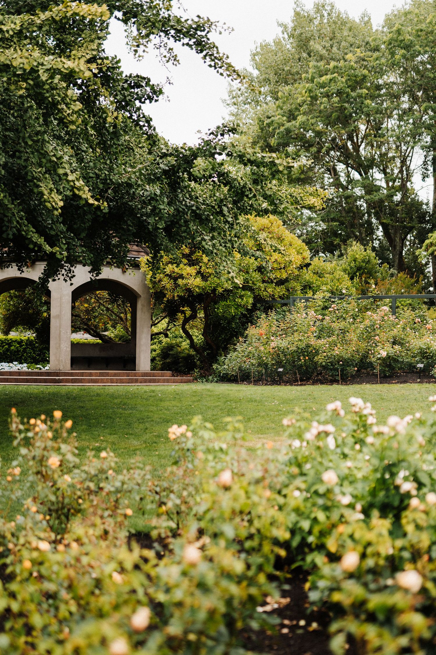 White garden arch surrounded by lush rose bushes and greenery in a peaceful outdoor garden setting.