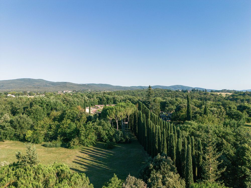 A panoramic view of rolling green hills and cypress trees in the Tuscan countryside at Borgo San Luigi on a sunny summer day.