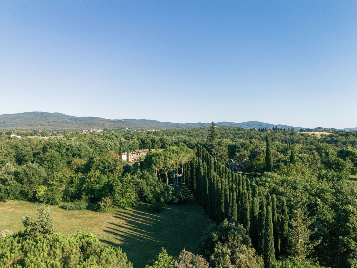 A panoramic view of rolling green hills and cypress trees in the Tuscan countryside at Borgo San Luigi on a sunny summer day.