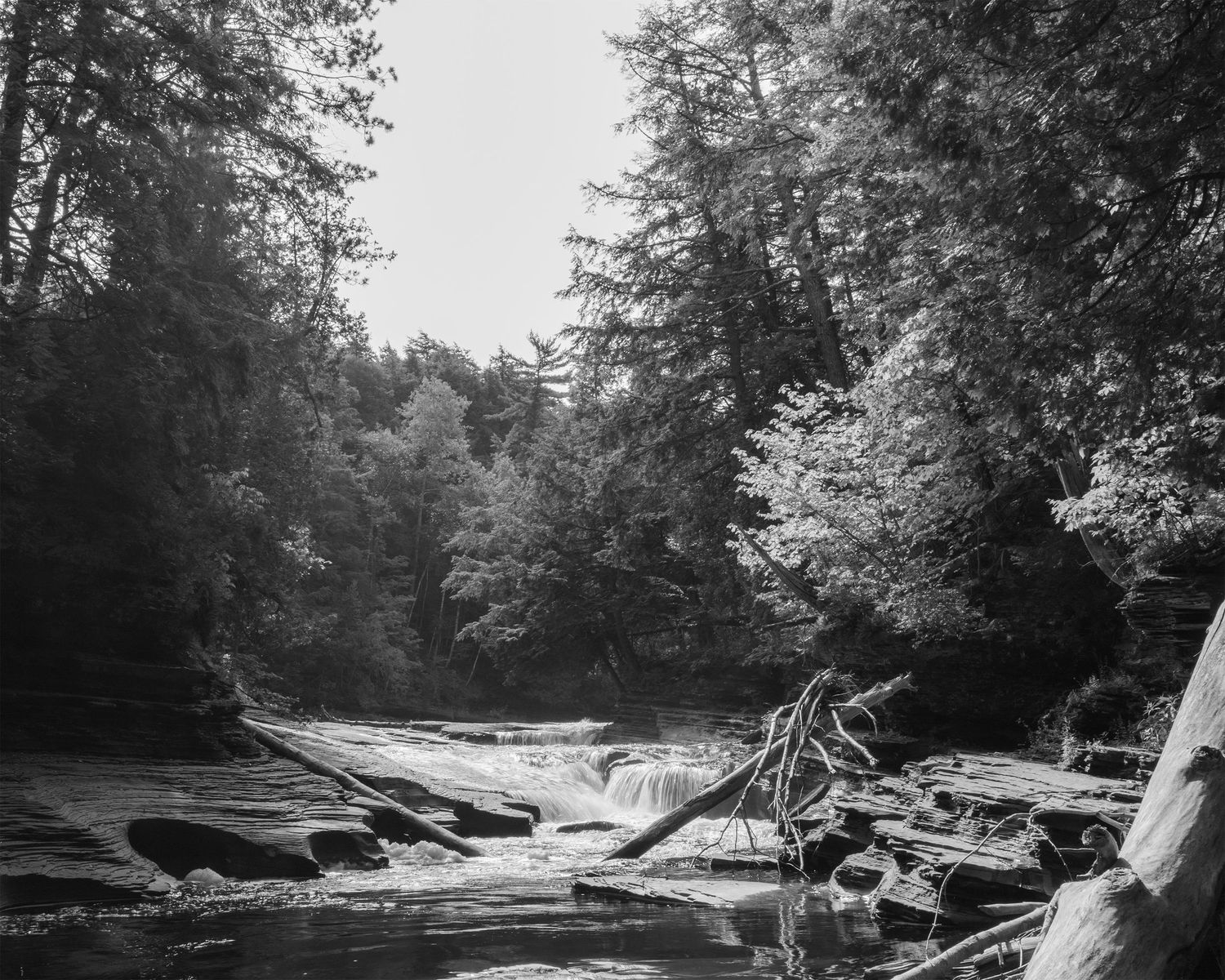Black and white photograph of a river and small waterfall through a forest.
