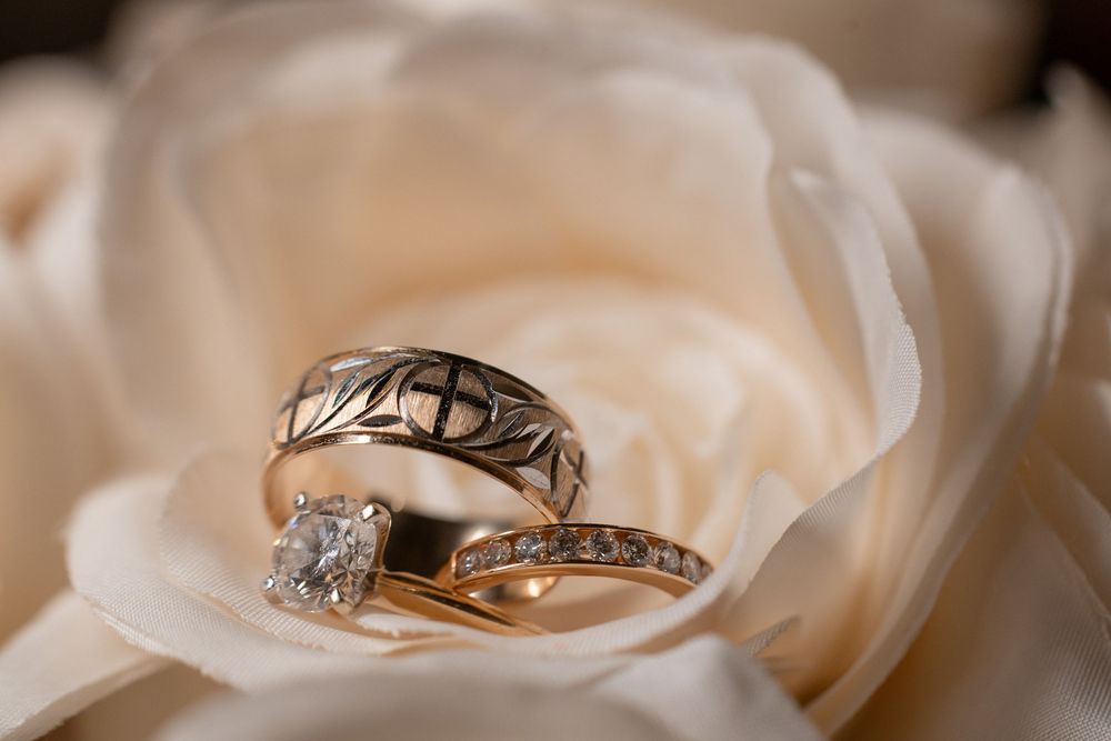 Two gold wedding rings rest on delicate cream-colored rose petals in a romantic macro shot.
