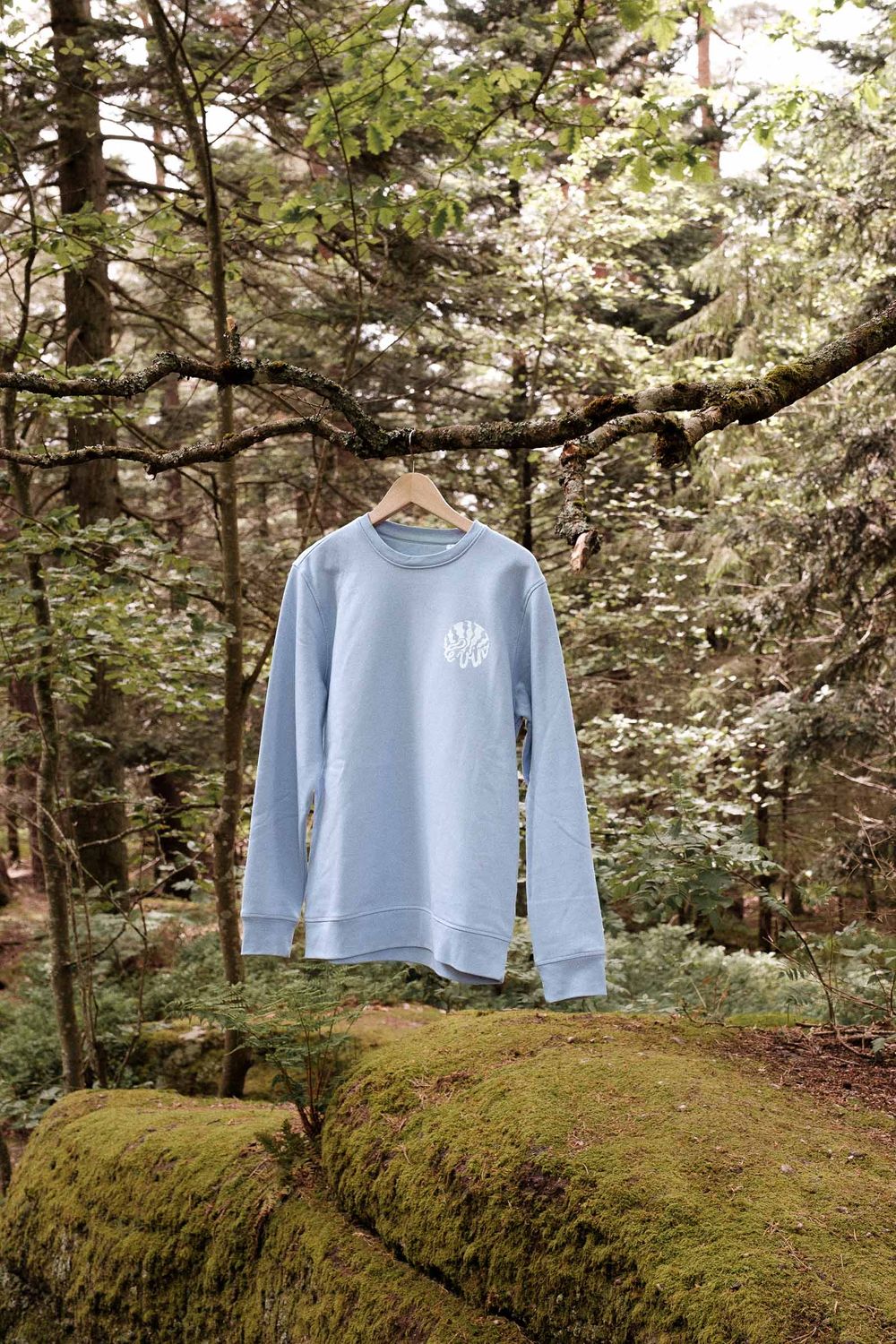 Light blue sweatshirt hanging on tree branch in mossy forest setting.