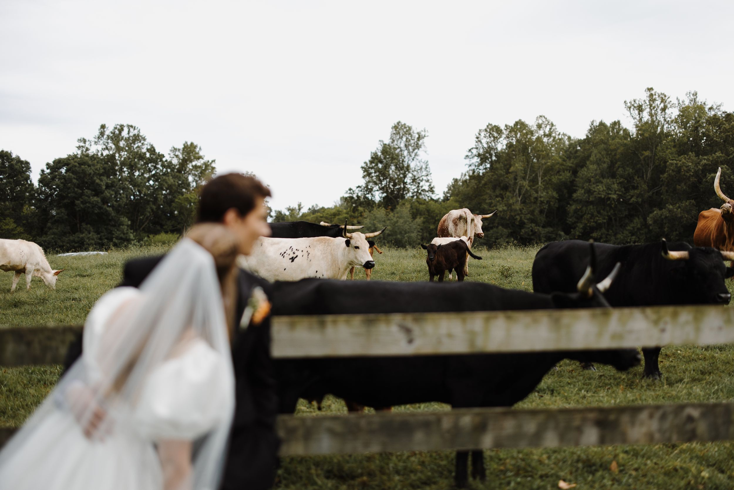 Catholic wedding portrait