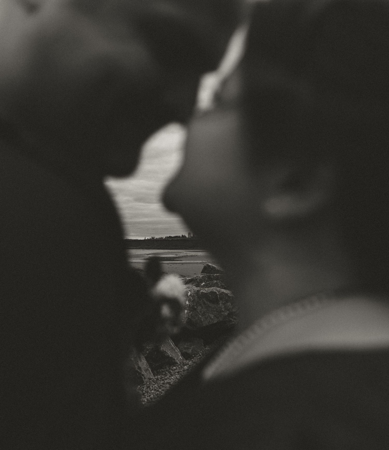 Blurry close-up black and white photograph showing silhouettes in the foreground with a landscape view through a gap.