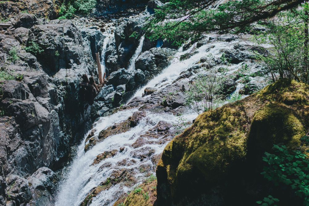 parksville elopement photographer