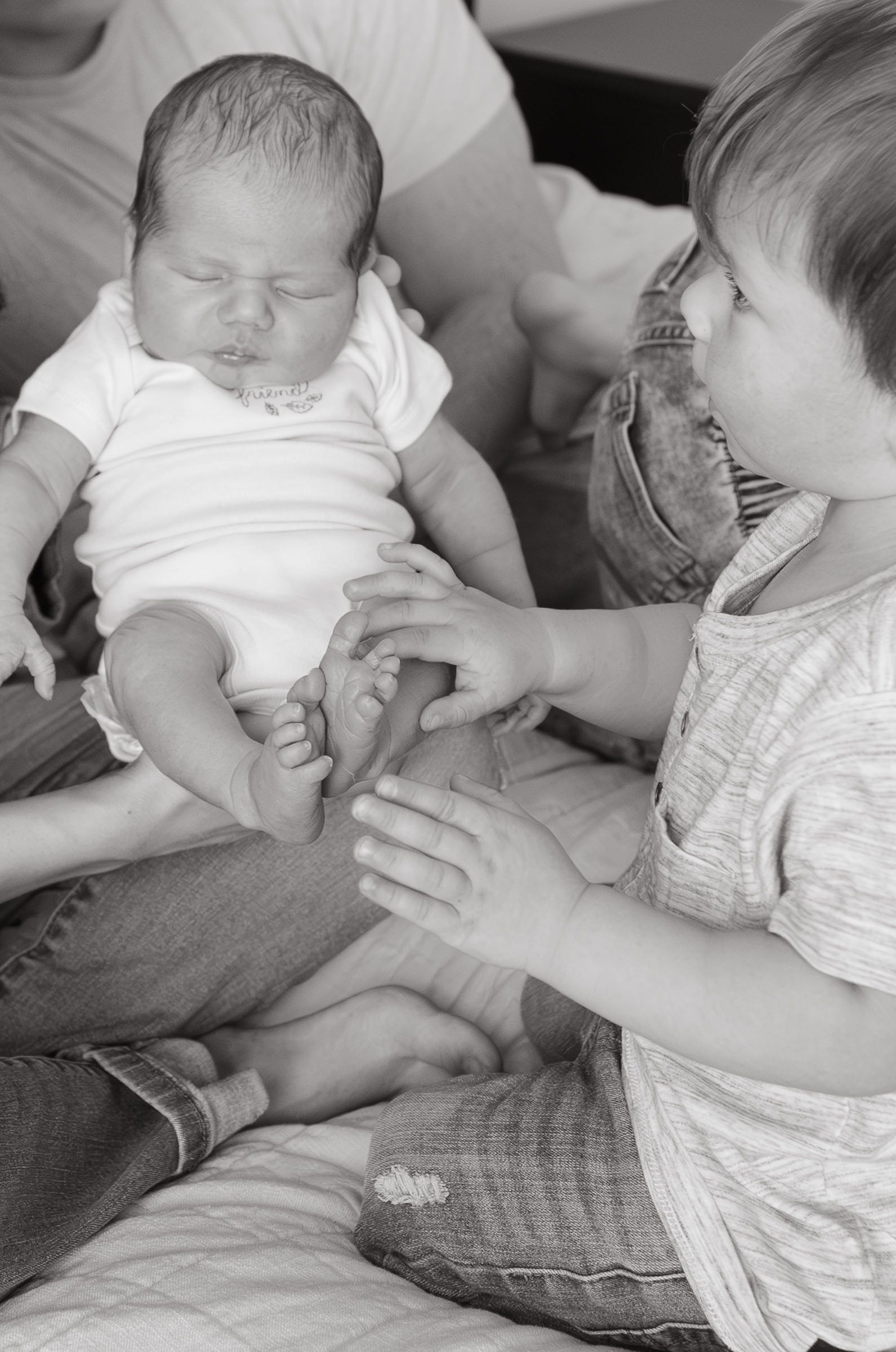 newborn photography kansas city