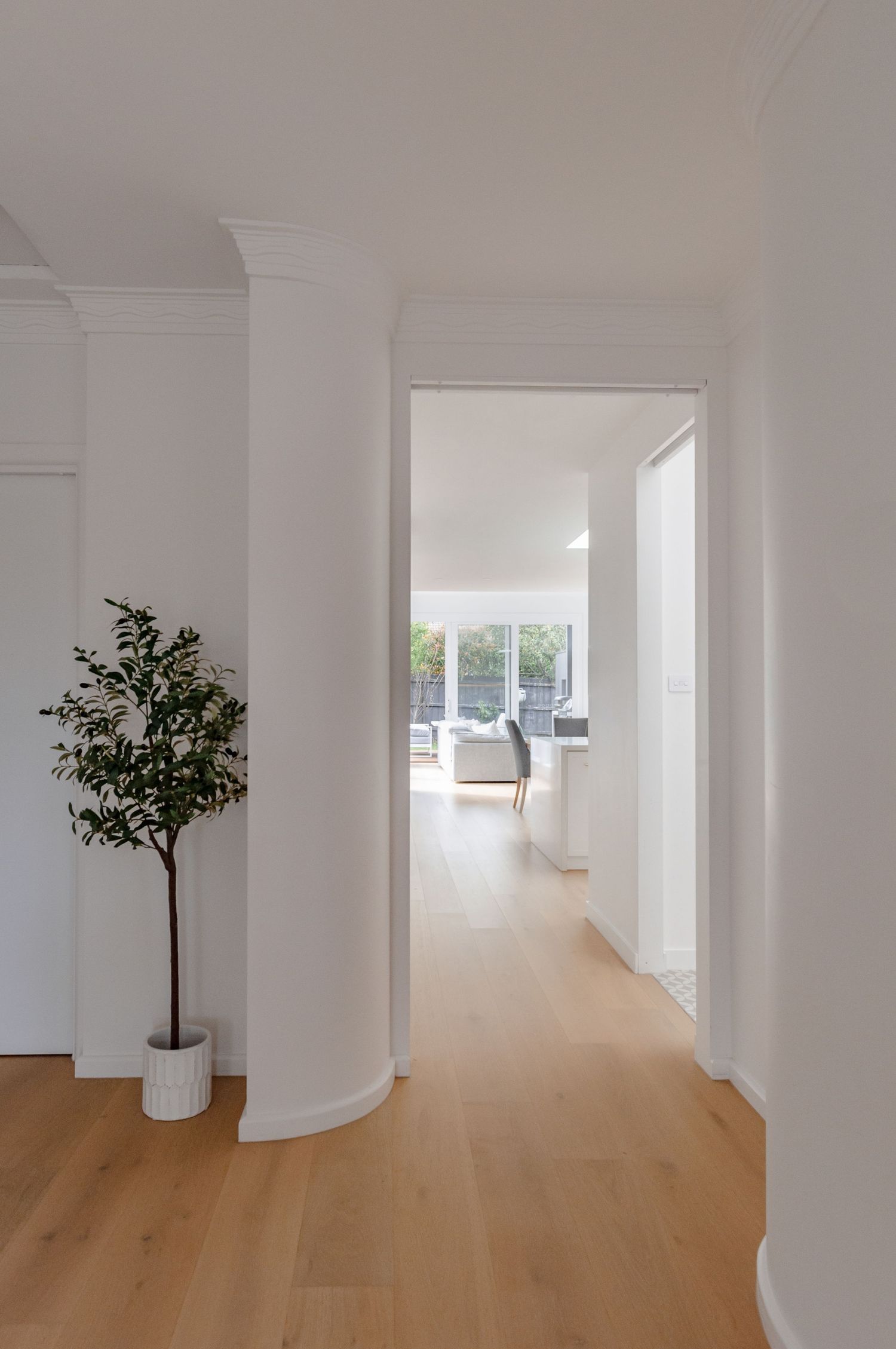 Modern minimalist hallway with curved white walls, light hardwood floors and a potted tree against natural lighting.