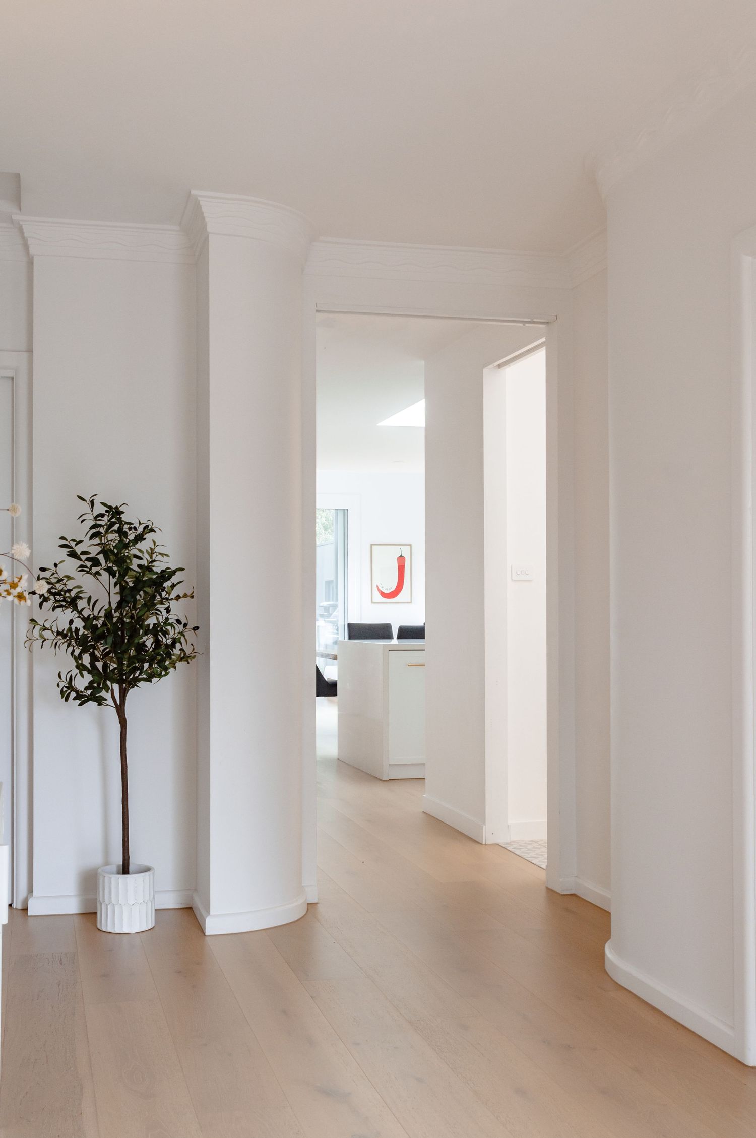 Modern white hallway with light wood flooring, potted olive tree, and minimalist art visible through doorway.