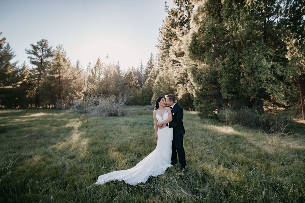A wedding couple embraces in a sunlit meadow surrounded by evergreen trees during golden hour.
