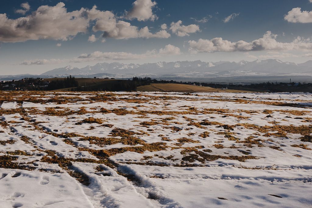 Panorama Tatr widok z Jabłonki