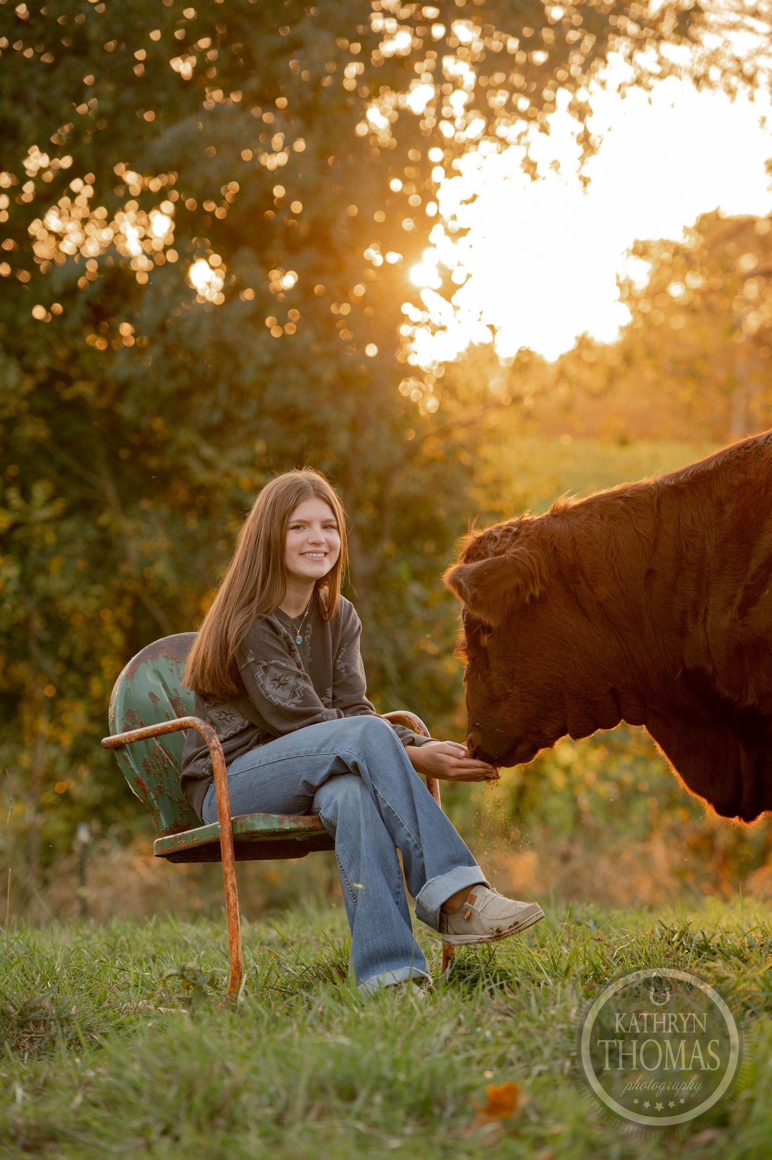 Warm sunset light illuminates a pastoral scene of someone bonding with a large brown cow in a grassy field.