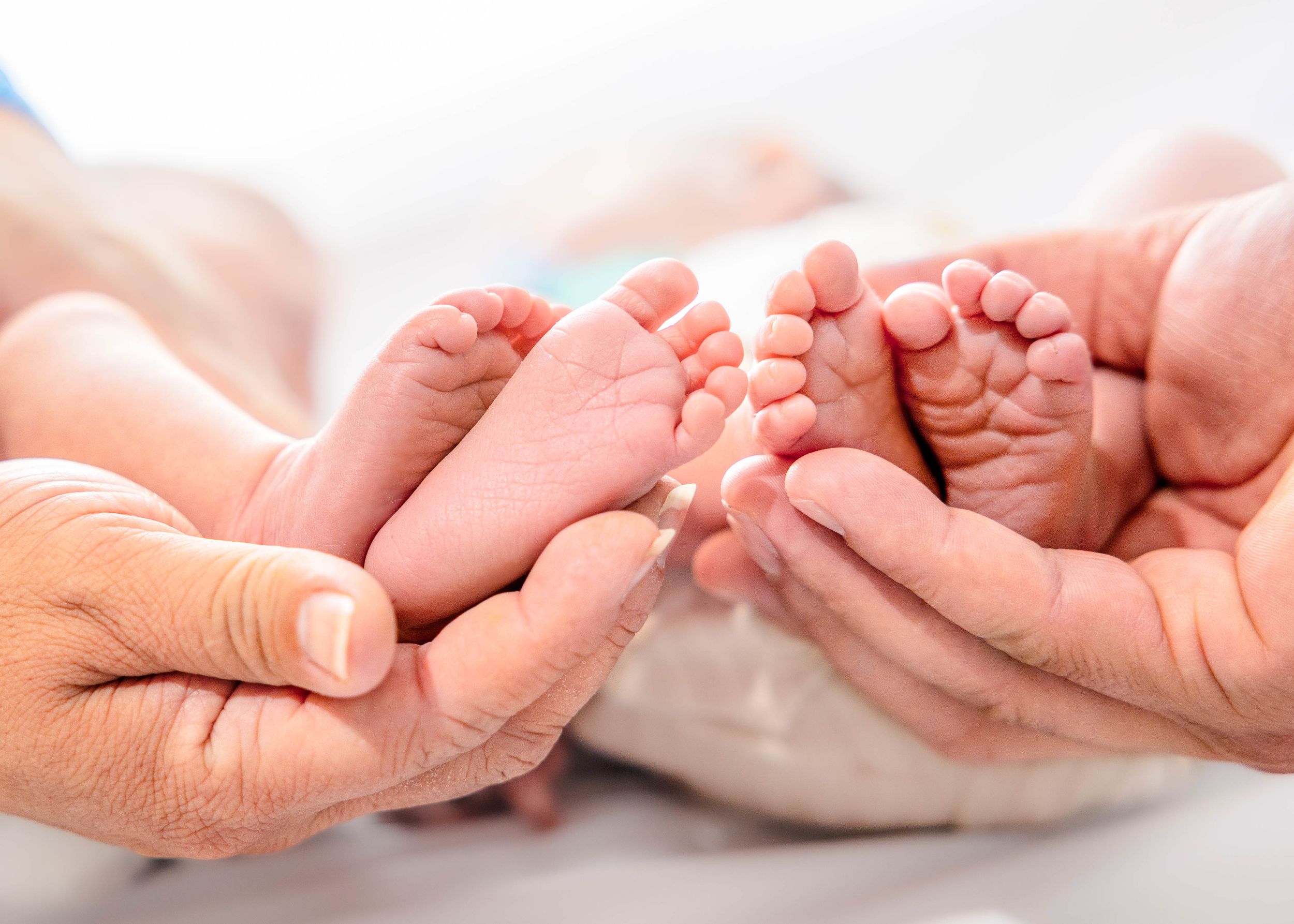 A pair of twin baby feet with mom and dad hands taken as part of a newborn photo session.#NewbornPictures #CarlsbadNM #roswellNM #ArtesiaNM