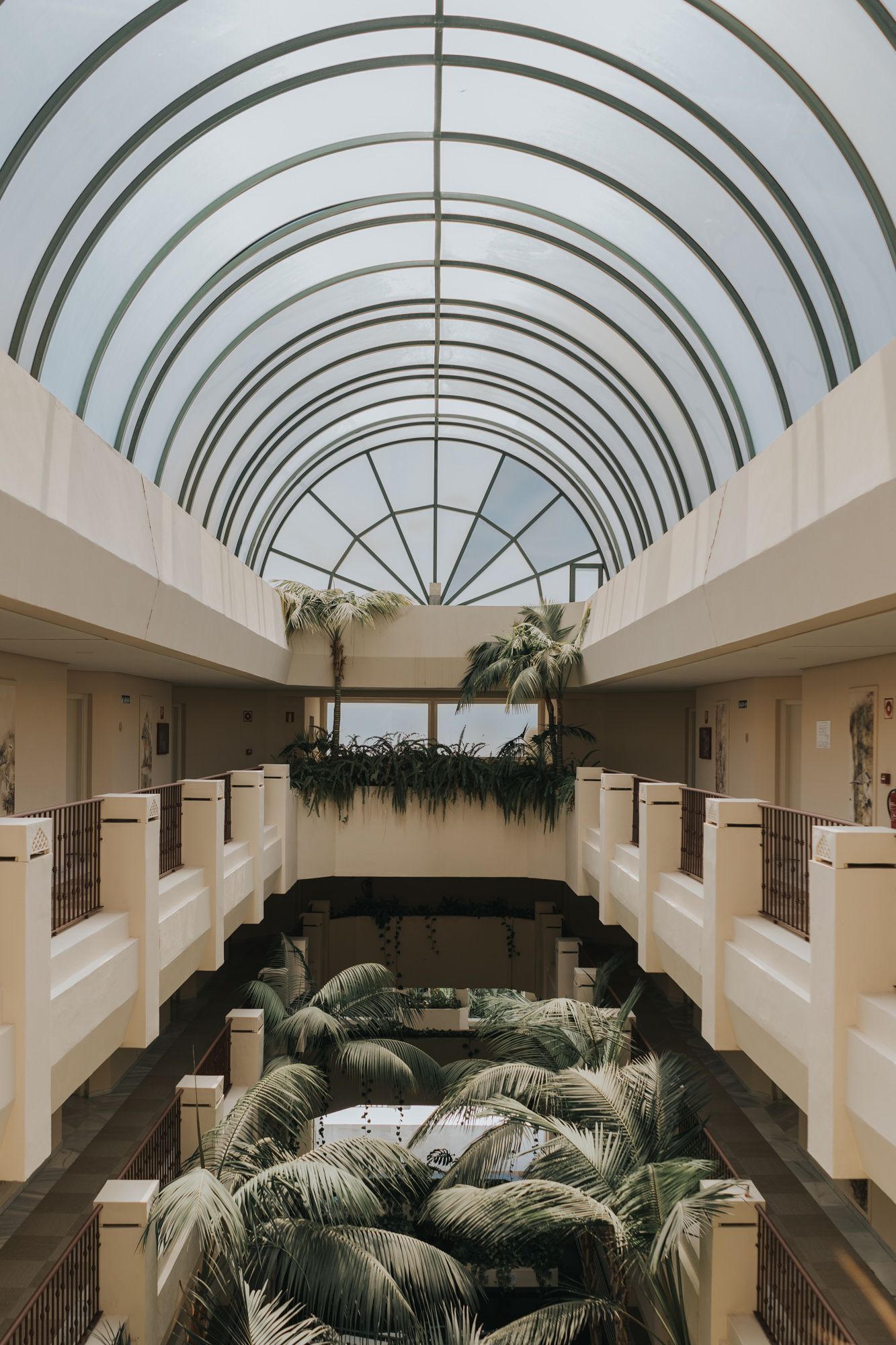 Modern architectural hallway with curved glass ceiling and tropical palm trees.