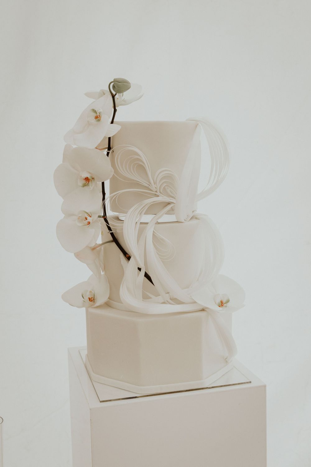 Morden style design cake with orchard flower . White cake