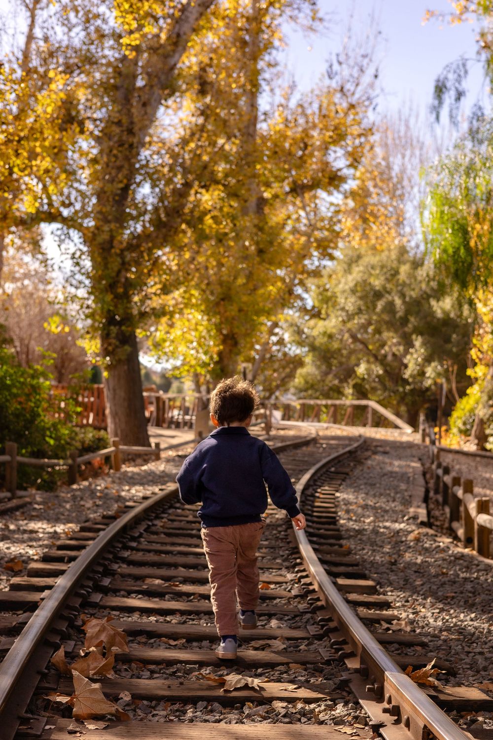 Little boy walking on train track at Old Poway Park during family session with golden trees in the background in warm, inviting lighting.