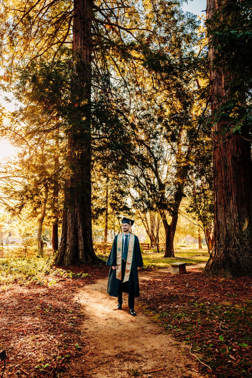 A graduate in academic regalia stands on a forest path surrounded by tall trees during golden hour.