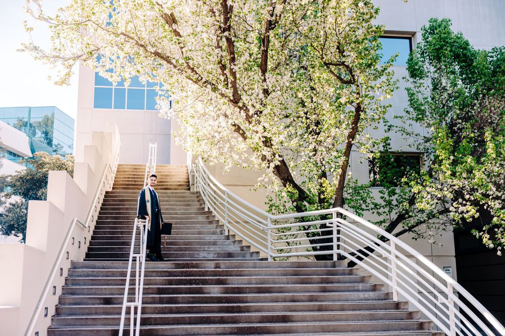 A modern outdoor staircase with white railings surrounded by blooming trees leads up to a contemporary building on a sunny day.