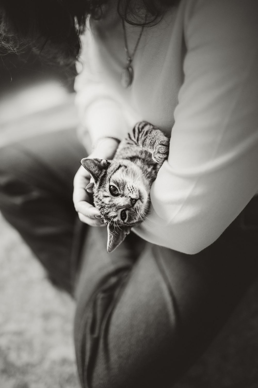 Black and white photo of hands holding an upside-down tabby cat being playful and showing its teeth.