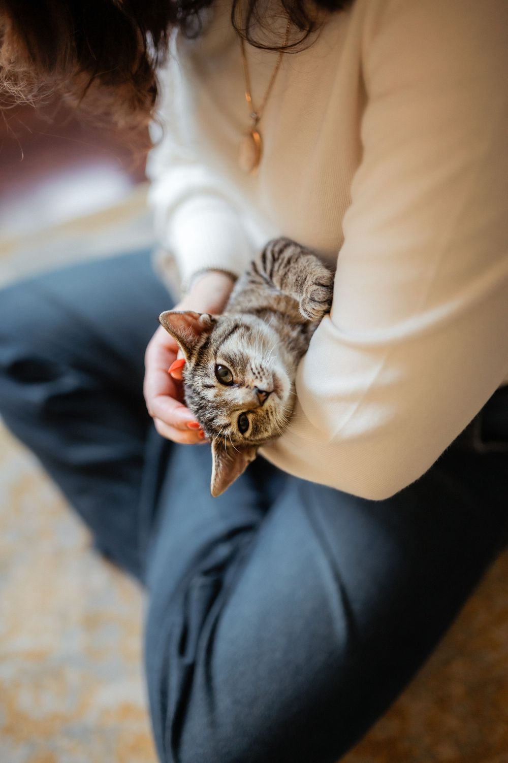 A playful tabby cat lies upside down in someone's lap, showing its belly while being petted in casual indoor setting.