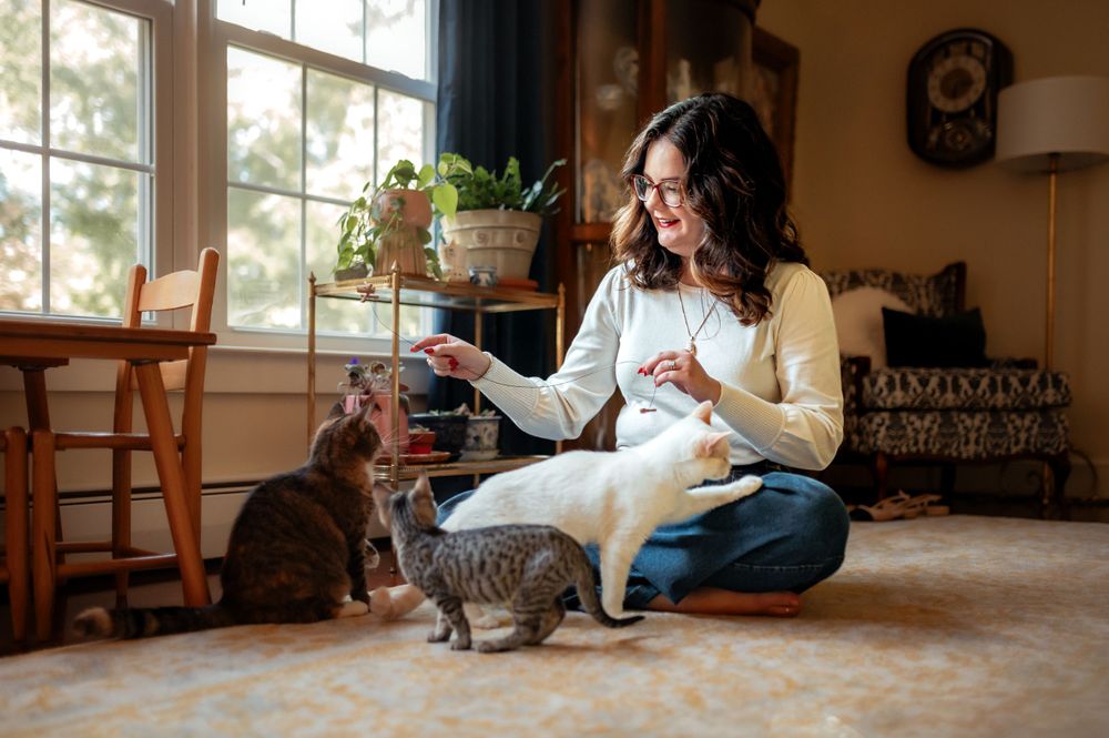 Cozy living room scene with someone in a white sweater relaxing on the floor with two cats and potted plants near windows.