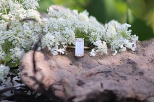 Engagements, Elopements, & Wedding Photography Sessions