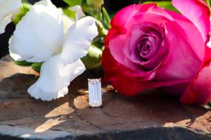 Wedding Photography Packages