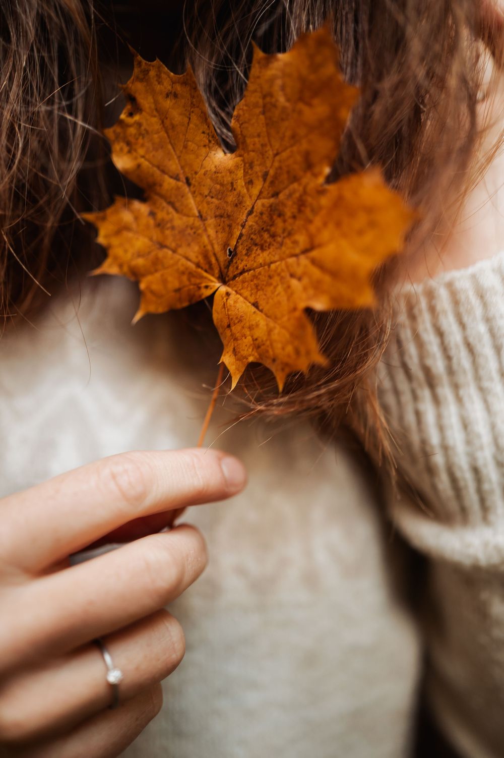 A hand holding a golden autumn maple leaf against a cozy cream sweater background.
