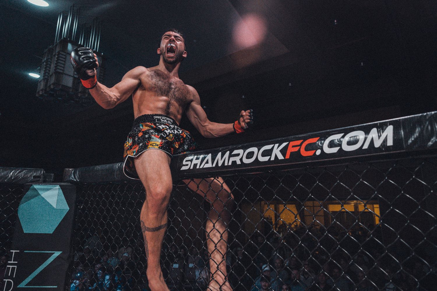 Two MMA fighters competing in an intense cage match with dramatic lighting. live event photography st louis.