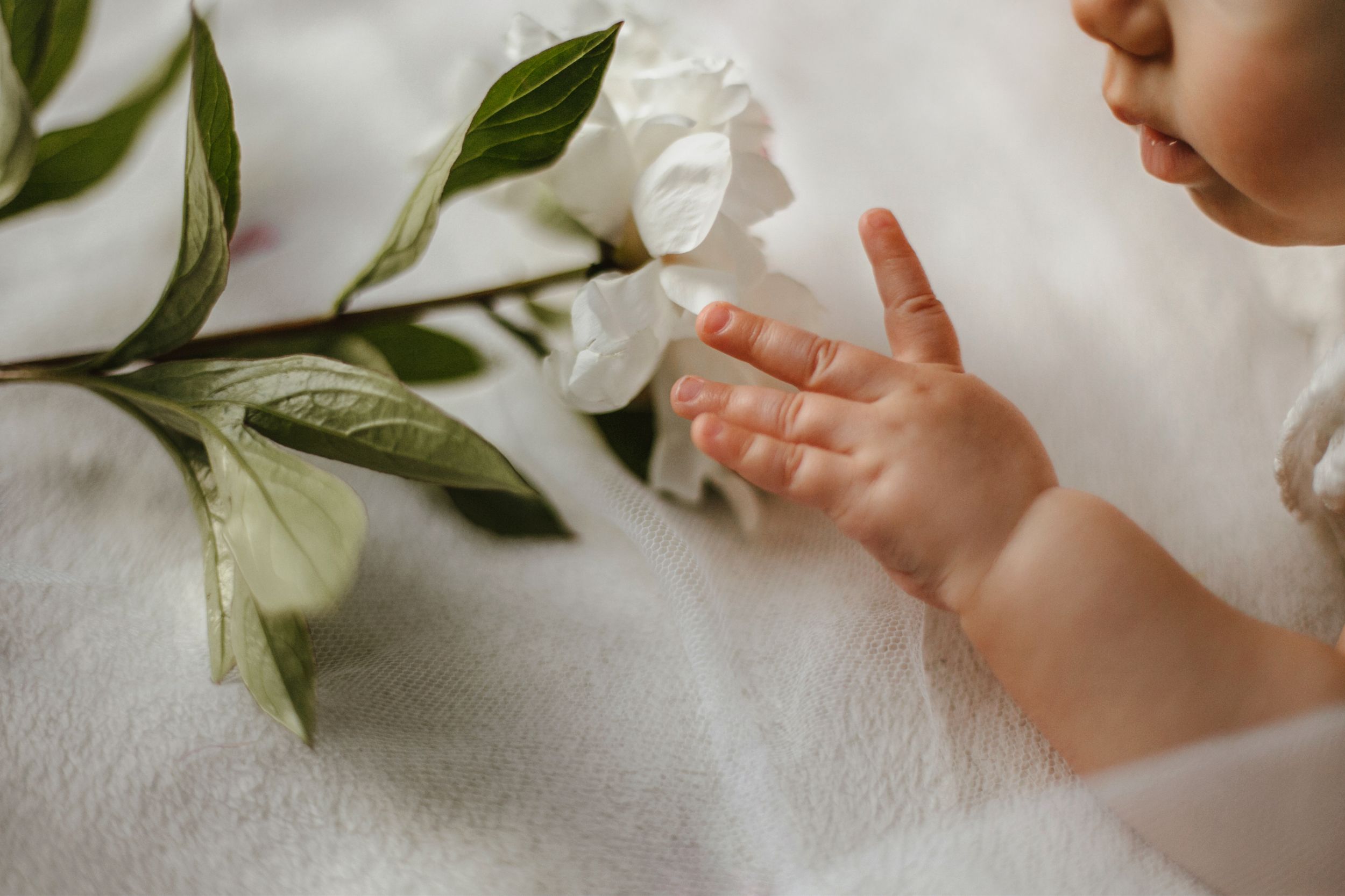Hochzeitsfotos, Paarshootings, Familien- und Kinderfotos, Portraits / Einzelaufnahmen,  Kreative / saisonale Shootings