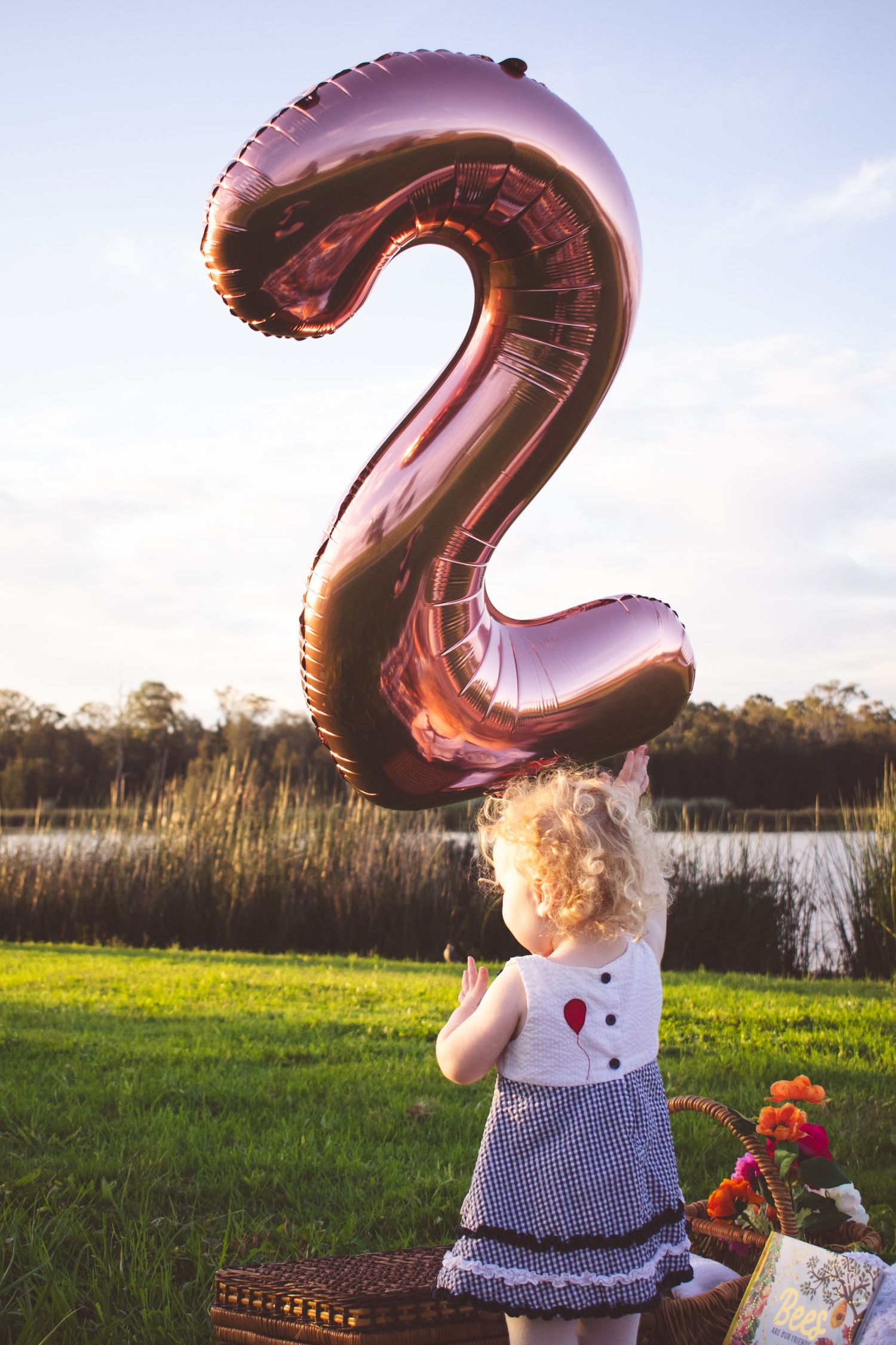 Maitland milestone photographer of a toddlers 2nd birthday