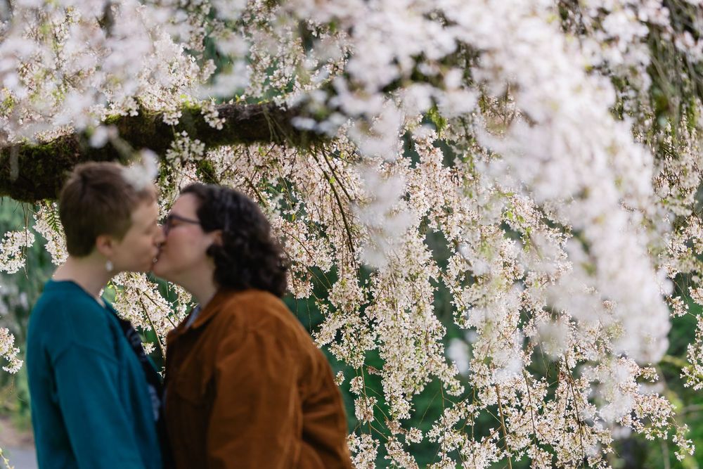 Two women share a tender kiss framed by delicate white cherry blossoms in full spring bloom.