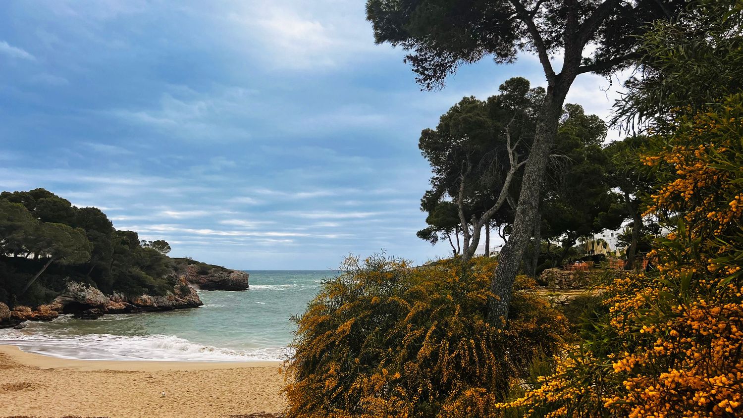 Scenic coastal landscape with a rocky shoreline, lush vegetation, and a cloudy blue sky.