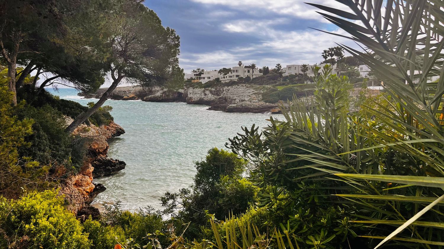 A picturesque coastal scene with a rocky shoreline, vibrant foliage, and a calm bay surrounded by buildings in the distance.