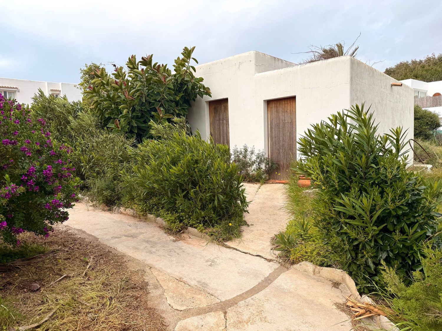 A white stucco building surrounded by lush greenery and tropical plants in a garden setting.