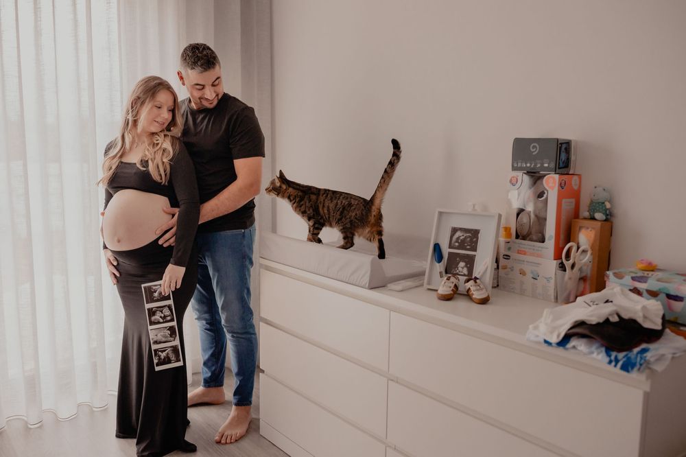 A series of maternity photos showing a couple embracing while a cat observes from nearby furniture in a bright room.