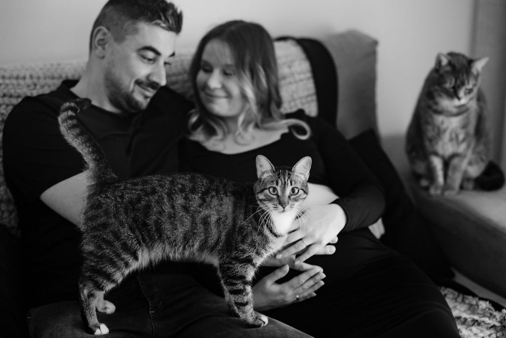 A series of black and white photographs showing tender moments between a person and their cat companion.